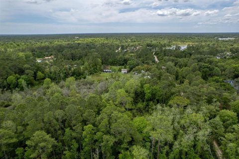 Купить земельный участок в Деланд, Флорида № 449277 - фото 7