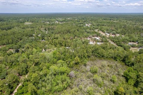 Купить земельный участок в Деланд, Флорида № 449277 - фото 15