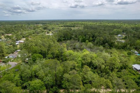 Купить земельный участок в Деланд, Флорида № 449277 - фото 6