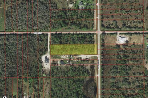 Купить земельный участок в Нейплс, Флорида № 1144386 - фото 1