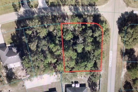 Land in Ocala, Florida № 1398536 - photo 1