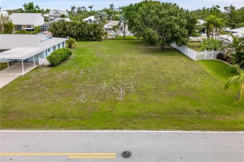Купить земельный участок в Пунта-Горда, Флорида № 535110 - фото 9