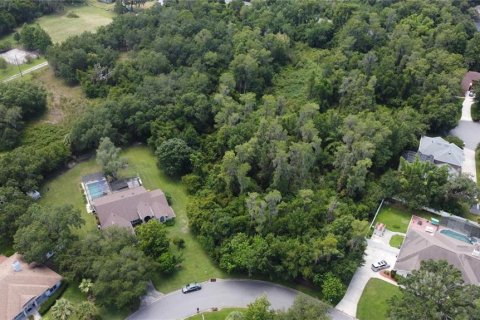 Terreno en venta en Kissimmee, Florida № 1354113 - foto 11