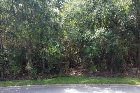 Terreno en venta en Kissimmee, Florida № 1354113 - foto 1