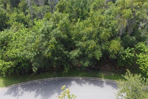 Terreno en venta en Kissimmee, Florida № 1354113 - foto 15