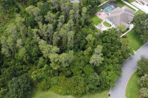 Terreno en venta en Kissimmee, Florida № 1354113 - foto 6