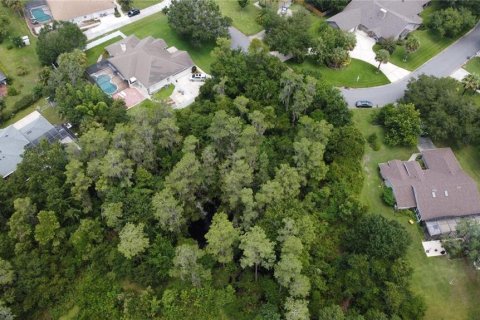 Terreno en venta en Kissimmee, Florida № 1354113 - foto 8