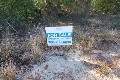 Купить коммерческую недвижимость в Клуистон, Флорида № 1127128 - фото 7