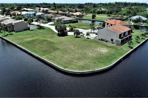 Land in Punta Gorda, Florida № 881387 - photo 2