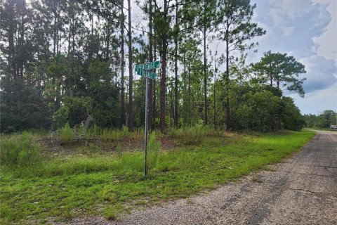 Terrain à vendre à Dunnellon, Floride № 1295849 - photo 4