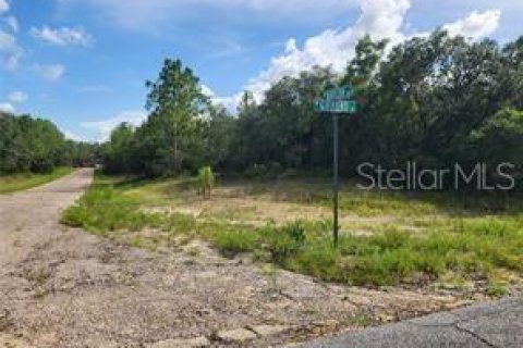 Land in Dunnellon, Florida № 1295849 - photo 2