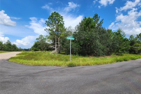 Terrain à vendre à Dunnellon, Floride № 1295849 - photo 6