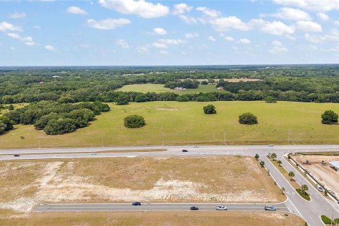 Land in Fruitland Park, Florida № 1295892 - photo 4