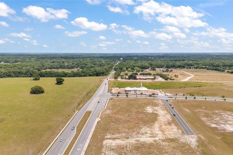 Land in Fruitland Park, Florida № 1295892 - photo 13