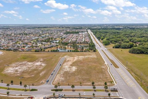 Land in Fruitland Park, Florida № 1295892 - photo 7