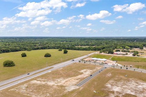 Land in Fruitland Park, Florida № 1295892 - photo 14