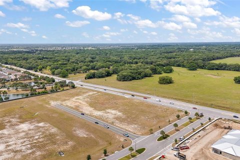 Land in Fruitland Park, Florida № 1295892 - photo 5