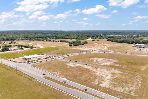 Land in Fruitland Park, Florida № 1295892 - photo 11