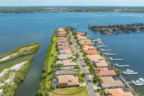 Villa ou maison à vendre à Palmetto, Floride: 4 chambres, 431.62 m2 № 1386511 - photo 12