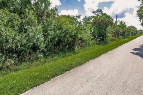 Terrain à vendre à Naples, Floride № 1277076 - photo 4