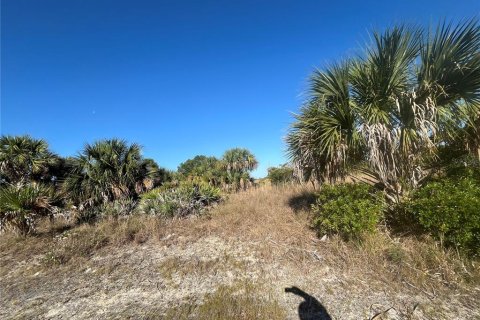 Terreno en venta en Okeechobee, Florida № 1139838 - foto 7