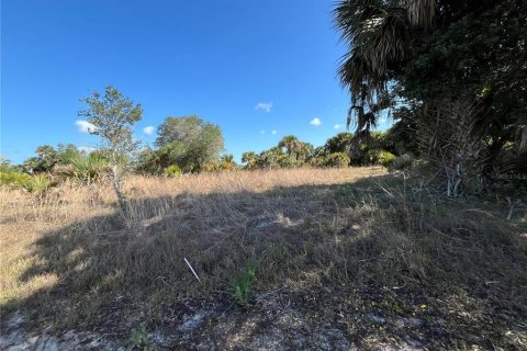 Land in Okeechobee, Florida № 1139838 - photo 14