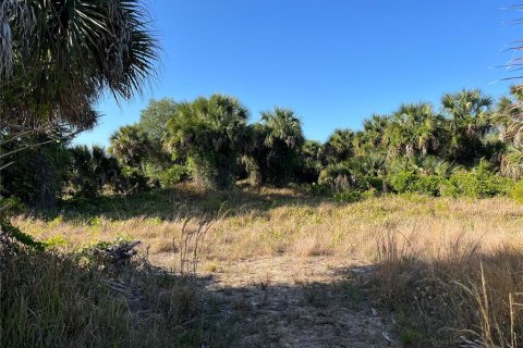 Land in Okeechobee, Florida № 1139838 - photo 11