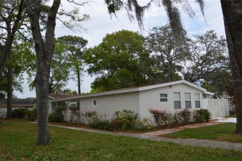 House in Tampa, Florida 4 bedrooms, 145.76 sq.m. № 1243632 - photo 3