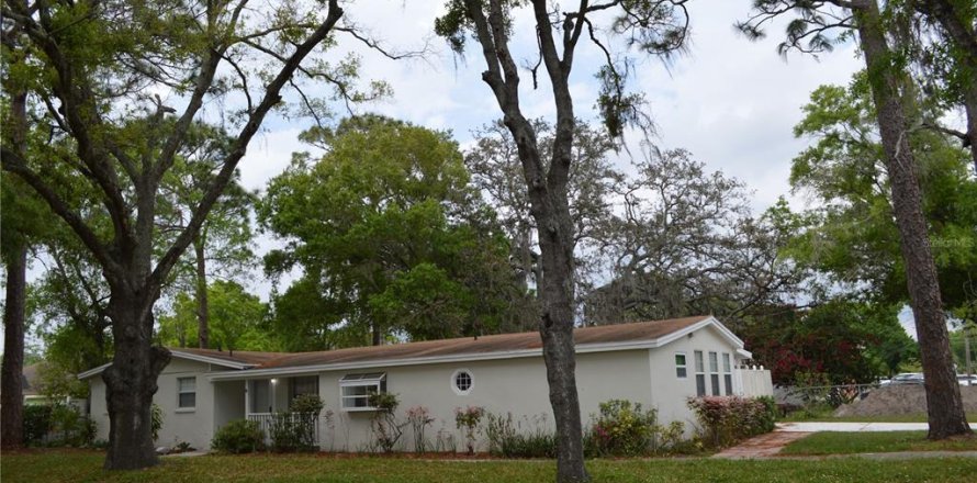 House in Tampa, Florida 4 bedrooms, 145.76 sq.m. № 1243632