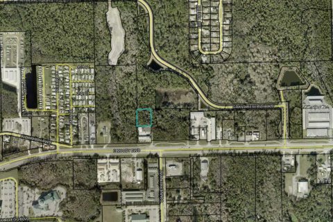 Land in Bunnell, Florida № 1380690 - photo 2