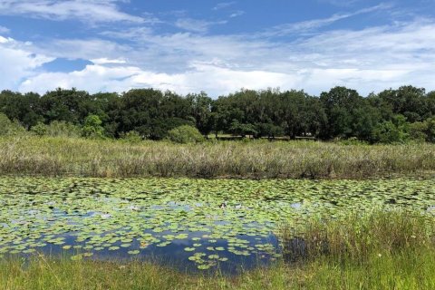 Land in Orlando, Florida № 1403476 - photo 21