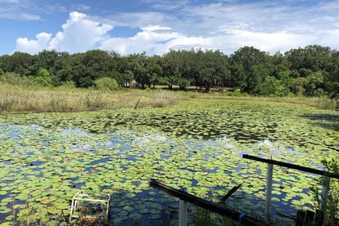 Land in Orlando, Florida № 1403476 - photo 18