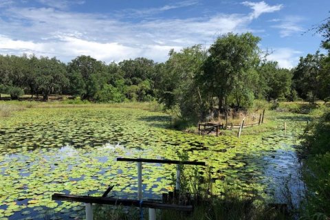 Land in Orlando, Florida № 1403476 - photo 17