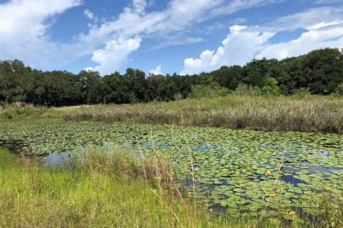 Land in Orlando, Florida № 1403476 - photo 19