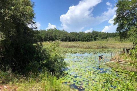 Land in Orlando, Florida № 1403476 - photo 15