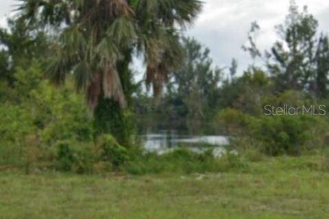 Купить земельный участок в Кейп-Корал, Флорида № 1105119 - фото 4