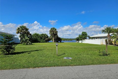 Terreno en venta en Flagler Beach, Florida № 1378379 - foto 5