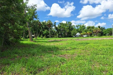 Terreno en venta en Punta Gorda, Florida № 1275508 - foto 1