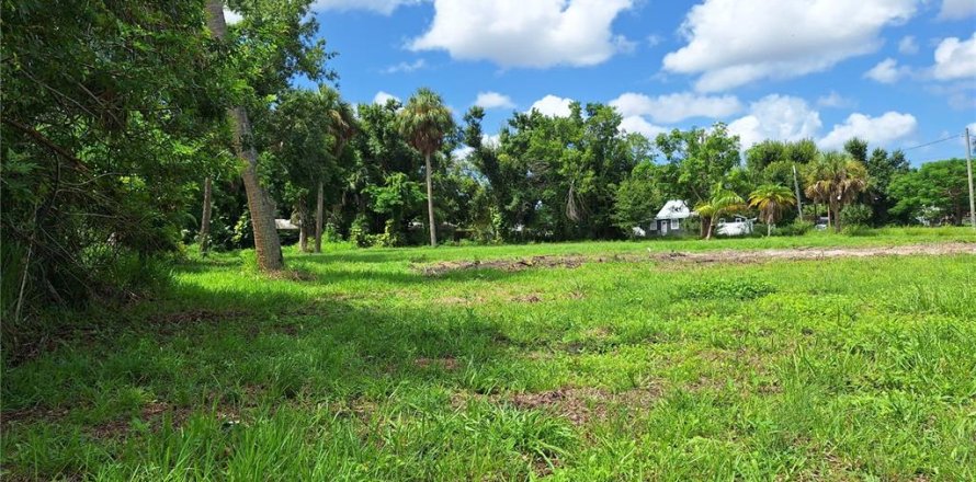 Terreno en Punta Gorda, Florida № 1275508