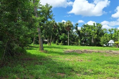 Terreno en venta en Punta Gorda, Florida № 1275508 - foto 9