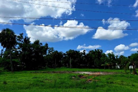 Terrain à vendre à Punta Gorda, Floride № 1275508 - photo 6