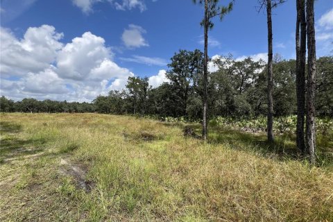 Terreno en venta en Davenport, Florida № 1361519 - foto 4