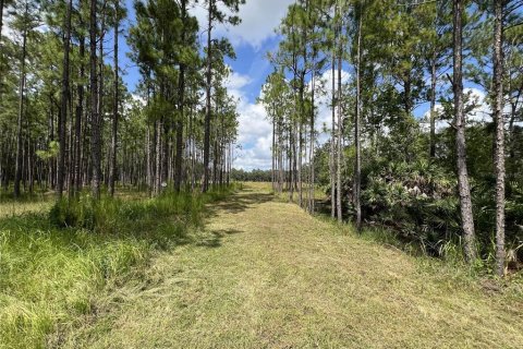 Terreno en venta en Davenport, Florida № 1361519 - foto 5