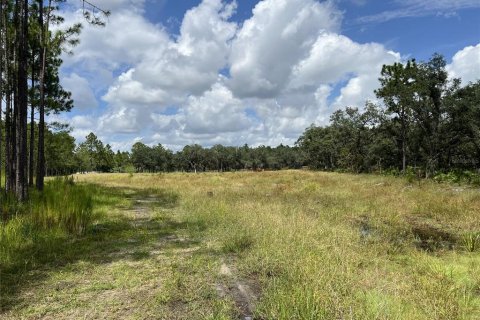 Terreno en venta en Davenport, Florida № 1361519 - foto 3