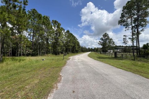 Terreno en venta en Davenport, Florida № 1361519 - foto 8