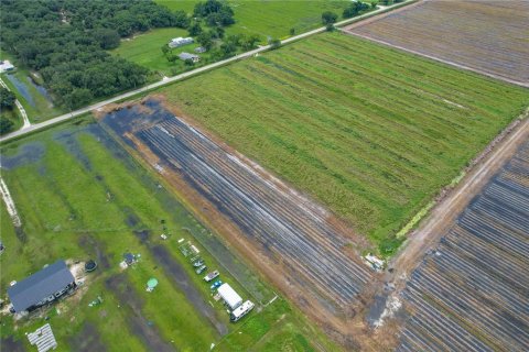 Land in Arcadia, Florida № 1361517 - photo 12