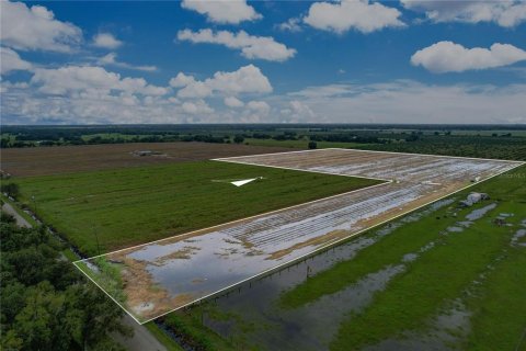 Terreno en venta en Arcadia, Florida № 1361517 - foto 7