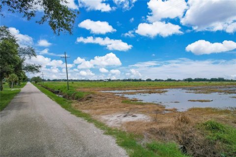 Land in Arcadia, Florida № 1361517 - photo 10