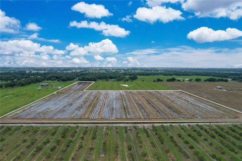 Terreno en venta en Arcadia, Florida № 1361517 - foto 8