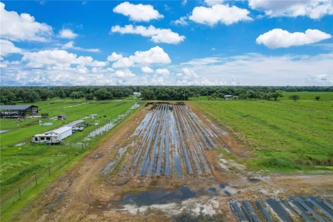 Land in Arcadia, Florida № 1361517 - photo 11